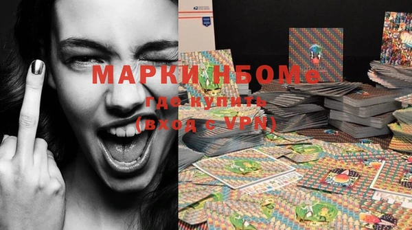 метадон Няндома