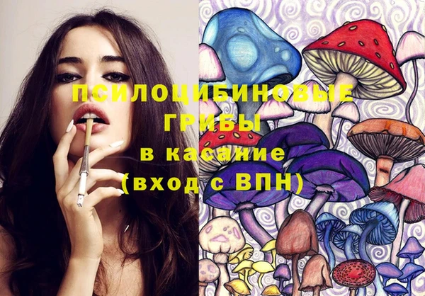 метадон Няндома