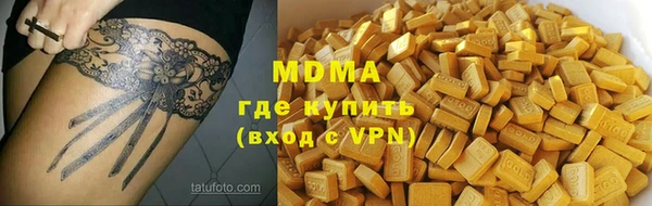 индика Гусев